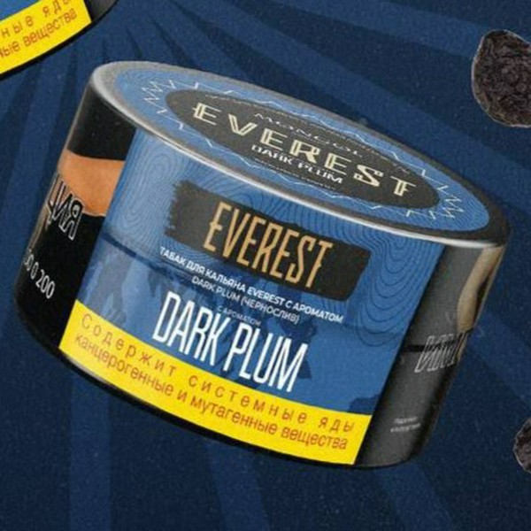 EVEREST - DARK PLUM - Чернослив - 20 (M)