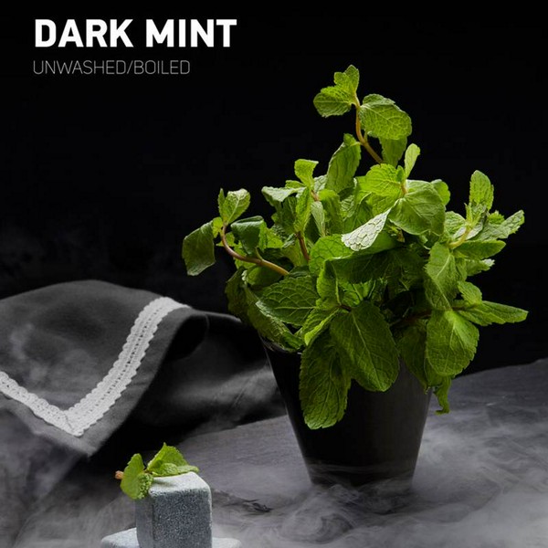 DARKSIDE CORE - DARK MINT - 30 (M)