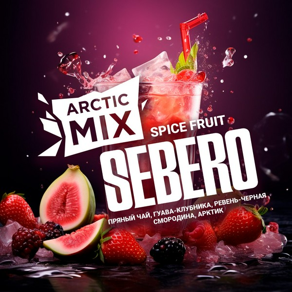 SEBERO ARCTIC MIX - SPICE FRUIT - Пряный Чай, Гуава-Клубника, Ревень, Арктик 25 (M)