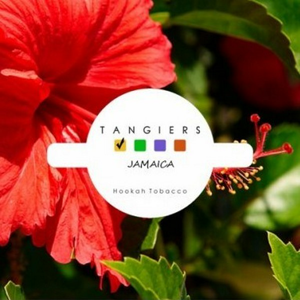 TANGIERS - JAMAICA - NOIR - 100GR (M)