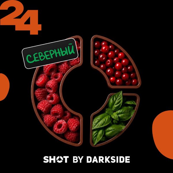 DARKSIDE SHOT - БАЗИЛИК КЛЮКВА МАЛИНА (СЕВЕРНЫЙ ТРИП) - 25 (M)