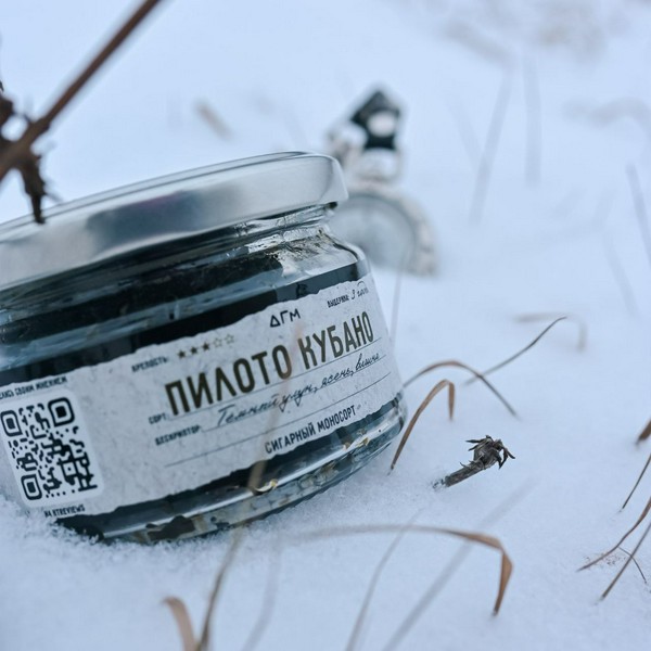 DOGMA 100% - ПИЛОТО КУБАНО - 20 (M)