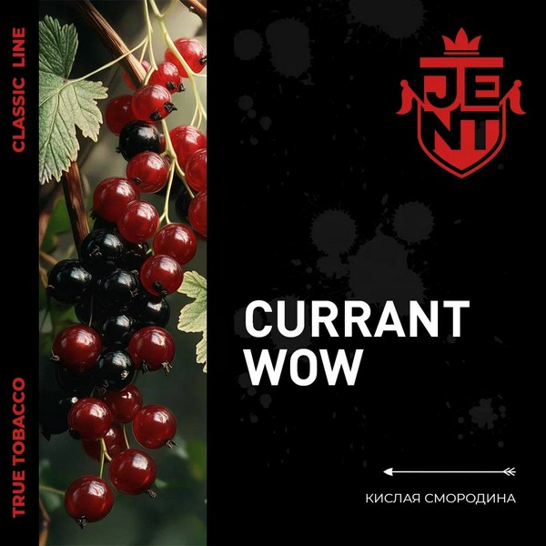 JENT CLASSIC - CURRANT WOW - Кислая смородина - 25 (M)