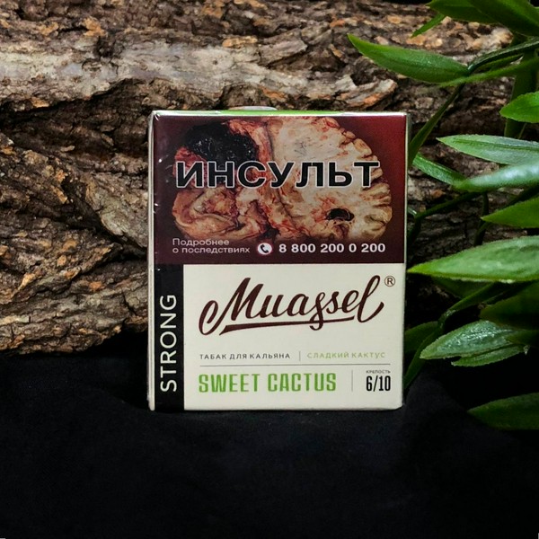 MUASSEL STRONG - СЛАДКИЙ КАКТУС - 40 (M)