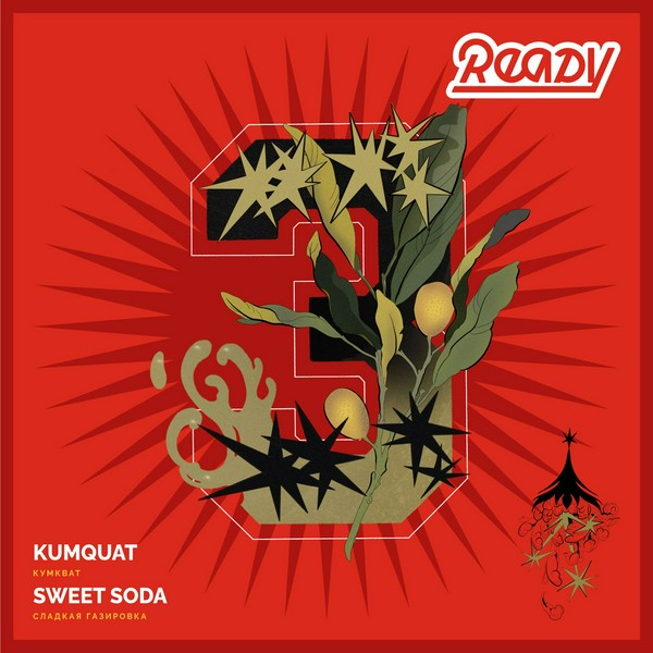 READY №3 - KUMQUAT SWEET SODA - Кумкват, Сладкая газировка 30 (M)