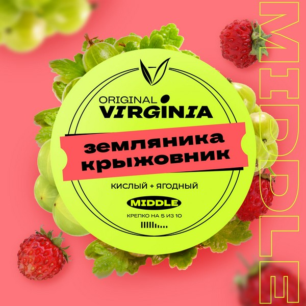 ORIGINAL VIRGINIA MIDDLE - ЗЕМЛЯНИКА КРЫЖОВНИК 25 (M)