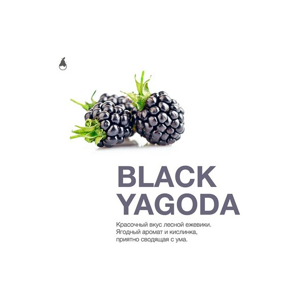 X MATTPEAR - BLACK YAGODA - 50 (M)