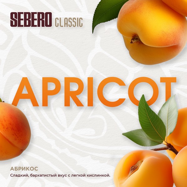 X SEBERO - APRICOT - Абрикос 300 (M)
