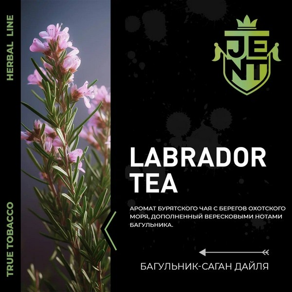 JENT HERBAL - LABRADOR TEA - Багульник-Саган Дайля - 25 (M)