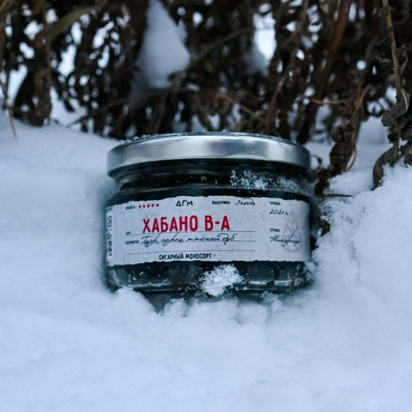 DOGMA 100% - ХАБАНО В-А - 20 (M)