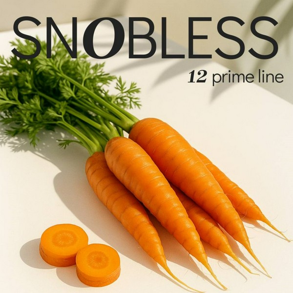 SNOBLESS PRIME LINE - CARROT - Морковь 25 (M)