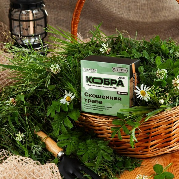 КОБРА - СКОШЕННАЯ ТРАВА - 80 (M)