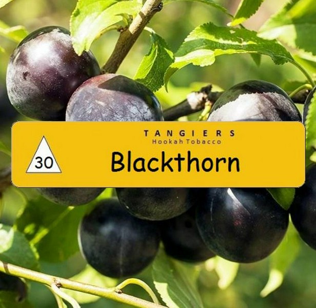 TANGIERS - BLACKTHORN - NOIR - Слива - 50GR (M)