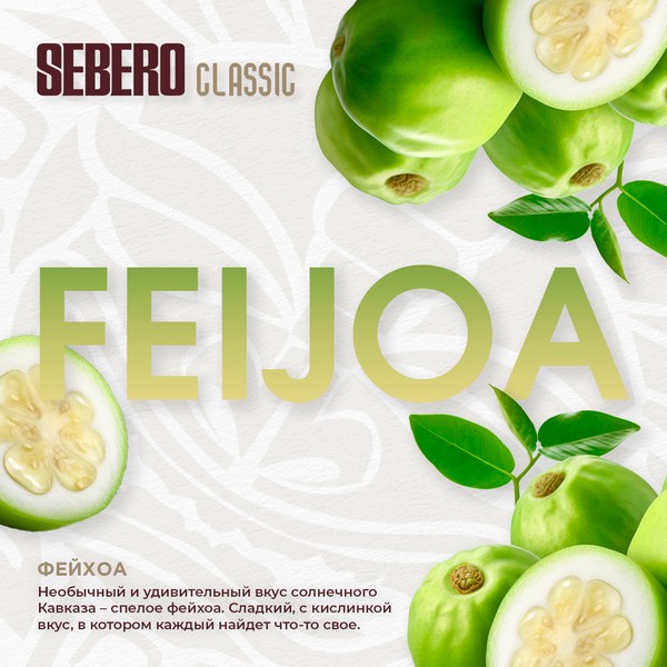 SEBERO - FEIJOA - Фейхоа 100 (M)