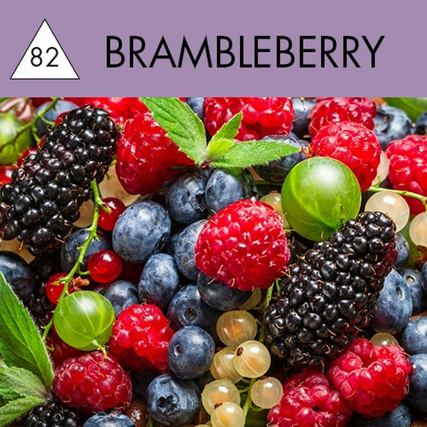 TANGIERS - BRAMBLEBERRY - BURLEY - Куманика - 50GR (M)