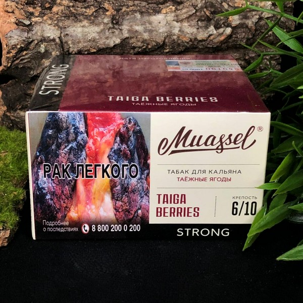 MUASSEL STRONG - ТАЕЖНЫЕ ЯГОДЫ - 200 (M)